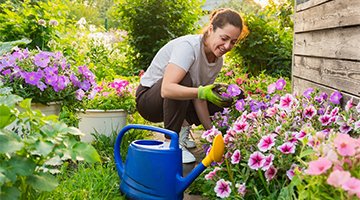 Home & Garden